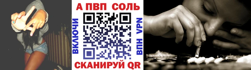 Альфа ПВП СК КРИС  Кувшиново 