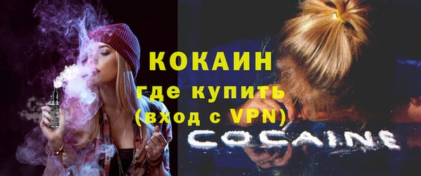 твердый Новодвинск